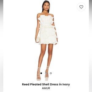 AMUR Reed Pleated Shell Dress